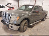 Ford F-150 Xlt 1FTFW1ET3BKD77687 снимка