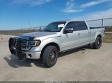 Ford F-150 Fx4/Harley-Davidson/King Ranch/Lariat/Platinum/Xl/Xlt 1FTFW1EV2AFC54925 fotografie
