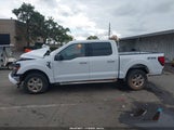 Ford F-150 Xlt 1FTFW3L82RKF64584 fotografie