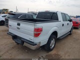 Ford F-150 Xlt 1FTEW1CM5BKD28207 снимка