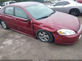 Miniaturka zdjęcia 6