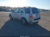 Ford Escape Xlt 1FMCU0D79BKA61794 снимка