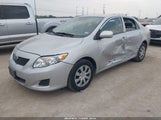 Toyota Corolla Le 2T1BU4EE3AC461046 fotografie