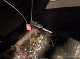 Miniaturka zdjęcia 11