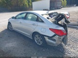 Miniaturka zdjęcia 3