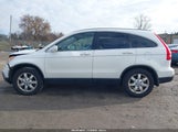 Honda Cr-V Ex-L JHLRE48748C035428 photo