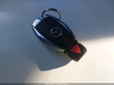 Miniaturka zdjęcia 11