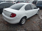 Dodge Neon Highline 1B3ES46C2YD810096 fotografie