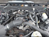Jeep Wrangler Sahara 1J4FA54178L565406 снимка