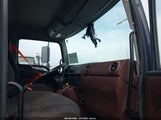 Miniaturka zdjęcia 8