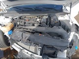 Kia K5 Gt-Line 5XXG64J20PG191559 photo