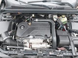 Miniaturka zdjęcia 10