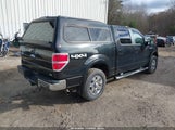 Ford F-150 Fx4/Harley-Davidson/King Ranch/Lariat/Platinum/Xl/Xlt 1FTFW1EV5AFB03190 снимка