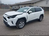 Toyota Rav4 Xle JTMP1RFV1KD037072 снимка