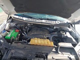 Ford F-150 Xlt 1FTEW1EG7FFB88439 снимка