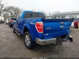 Ford F-150 Xlt 1FTFW1ET1EFC52233 снимка