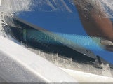 Ford Fiesta Se 3FADP4BJ2KM156444 снимка