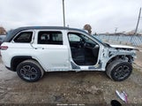 Jeep Grand Cherokee 4Xe Trailhawk 1C4RJYC6XP8785464 photo