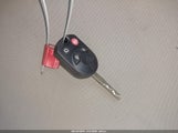 Miniaturka zdjęcia 11