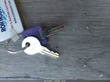 Miniaturka zdjęcia 11