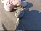 Miniaturka zdjęcia 11