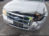 Ford Escape Xlt 1FMCU0DG2BKC10885 fotografie