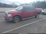 Ford F-150 Xlt 1FTFW1EF4DKD21478 снимка