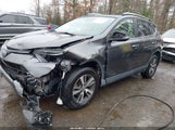 Toyota Rav4 Xle JTMRFREVXHJ701701 снимка