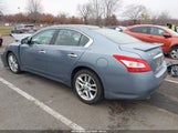 Nissan Maxima 3.5 Sv 1N4AA5AP5AC839268 снимка