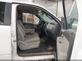 Ford F-150 Fx4/Harley-Davidson/King Ranch/Lariat/Platinum/Xl/Xlt 1FTFW1EV2AKE43131 fotografie