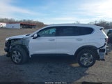 Hyundai Santa Fe Sel 5NMS2DAJ9PH519088 снимка
