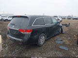 Honda Odyssey Ex-L 5FNRL5H65HB004899 снимка
