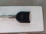 Miniaturka zdjęcia 11