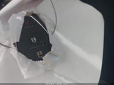 Miniaturka zdjęcia 11