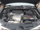Miniaturka zdjęcia 10