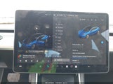 Miniaturka zdjęcia 7