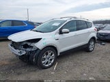Ford Escape Titanium 1FMCU9J92FUB30667 снимка