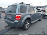 Ford Escape Xlt 1FMCU9D72BKA56487 снимка