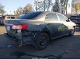 Toyota Corolla L 2T1BU4EE0DC116853 снимка