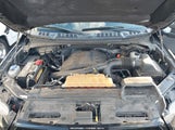 Ford F-150 Xlt 1FTEW1EG4FKD13114 снимка