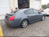 Nissan Maxima 3.5 Se 1N4BA41EX7C862678 снимка