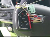 Miniaturka zdjęcia 11