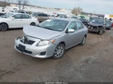 Miniaturka zdjęcia 2