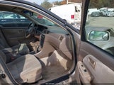 Miniaturka zdjęcia 5