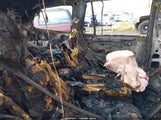 Honda Pilot Elite 5FNYF6H04HB052060 снимка