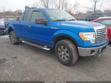 Ford F-150 Xlt 1FTEX1E84AFA26122 снимка