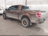 Ford F-150 Platinum 1FTFW1ET9BFA62143 снимка