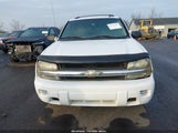 Chevrolet Trailblazer Ls 1GNDT13S472173148 снимка