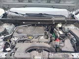 Toyota Rav4 Xle JTMP1RFV7KD030059 fotografie