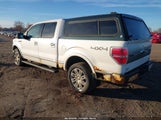 Ford F-150 Fx4/Harley-Davidson/King Ranch/Lariat/Platinum/Xl/Xlt 1FTFW1EV0AFD94035 photo